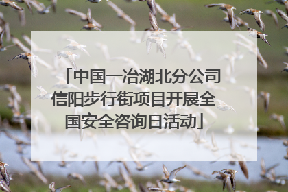 中国一冶湖北分公司信阳步行街项目开展全国安全咨询日活动