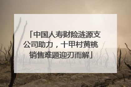 中国人寿财险涟源支公司助力，十甲村黄桃销售难题迎刃而解