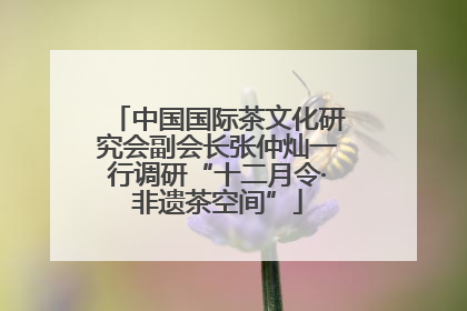 中国国际茶文化研究会副会长张仲灿一行调研“十二月令·非遗茶空间”