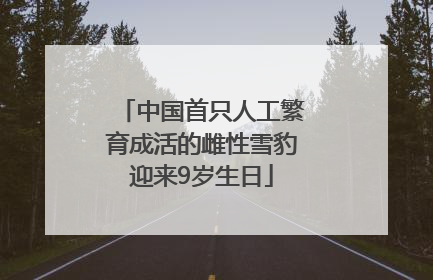 中国首只人工繁育成活的雌性雪豹迎来9岁生日