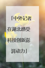 中外记者在湖北感受科技创新澎湃动力