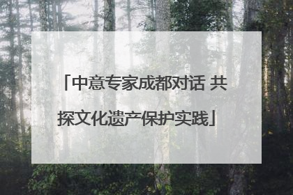 中意专家成都对话 共探文化遗产保护实践