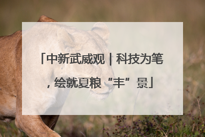 中新武威观｜科技为笔，绘就夏粮“丰”景