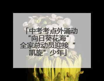 中考考点外涌动“向日葵花海” 全家总动员迎接“凯旋”少年