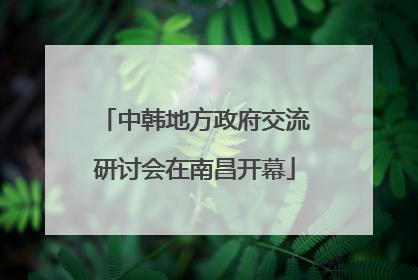中韩地方政府交流研讨会在南昌开幕