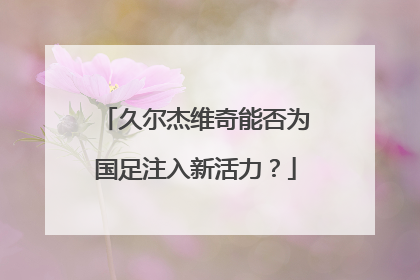 久尔杰维奇能否为国足注入新活力？