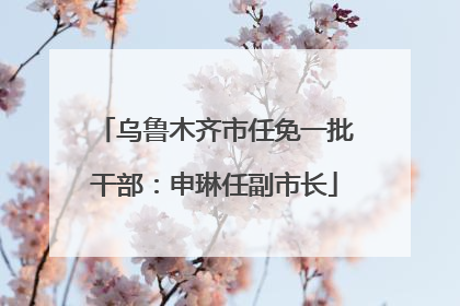 乌鲁木齐市任免一批干部：申琳任副市长