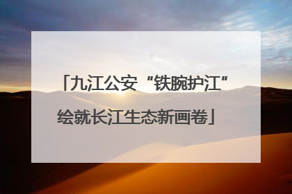 九江公安“铁腕护江”绘就长江生态新画卷