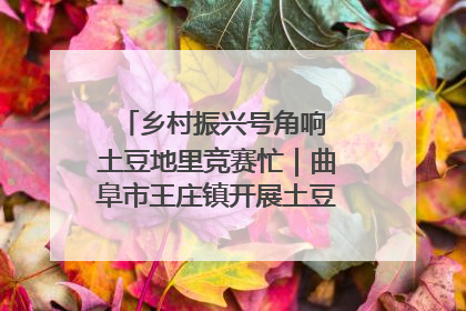 乡村振兴号角响 土豆地里竞赛忙｜曲阜市王庄镇开展土豆收获劳动竞赛
