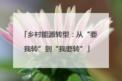 乡村能源转型：从“要我转”到“我要转”