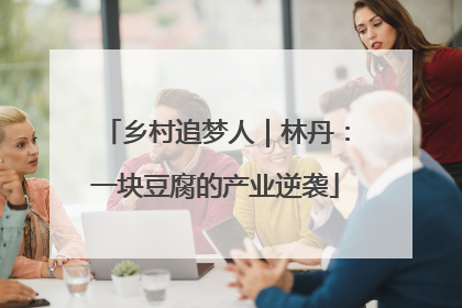 乡村追梦人｜林丹：一块豆腐的产业逆袭