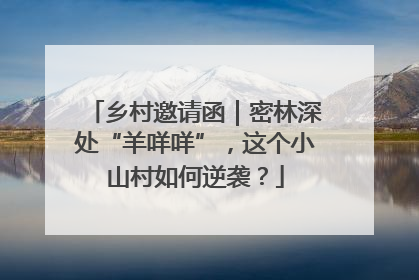 乡村邀请函｜密林深处“羊咩咩”，这个小山村如何逆袭？