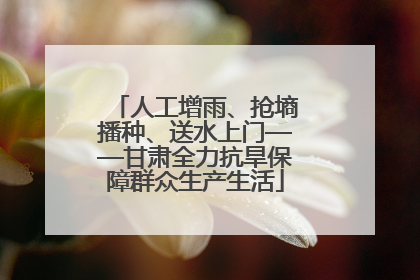 人工增雨、抢墒播种、送水上门——甘肃全力抗旱保障群众生产生活