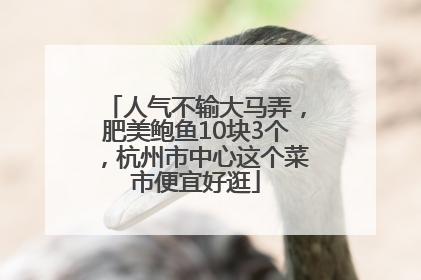 人气不输大马弄，肥美鲍鱼10块3个，杭州市中心这个菜市便宜好逛