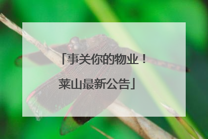 事关你的物业！莱山最新公告