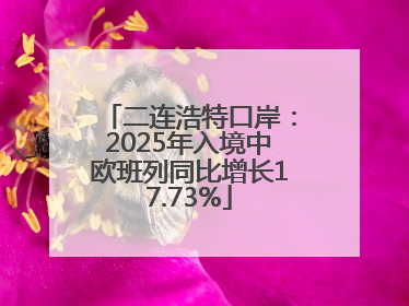 二连浩特口岸：2025年入境中欧班列同比增长17.73%