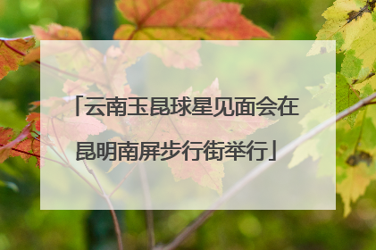 云南玉昆球星见面会在昆明南屏步行街举行