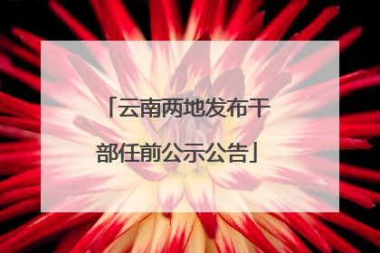 云南两地发布干部任前公示公告
