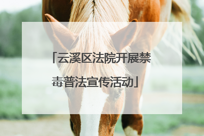 云溪区法院开展禁毒普法宣传活动