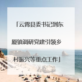 云霄县委书记到东厦镇调研党建引领乡村振兴等重点工作