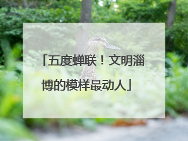 五度蝉联！文明淄博的模样最动人