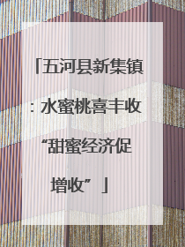 五河县新集镇：水蜜桃喜丰收 “甜蜜经济促增收”