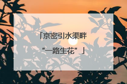 京密引水渠畔“一路生花”