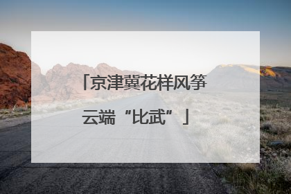 京津冀花样风筝云端“比武”
