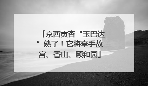京西贡杏“玉巴达”熟了！它将牵手故宫、香山、颐和园