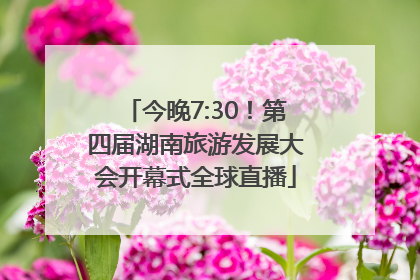 今晚7:30！第四届湖南旅游发展大会开幕式全球直播