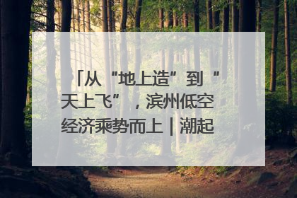 从“地上造”到“天上飞”，滨州低空经济乘势而上｜潮起渤海・网聚黄蓝