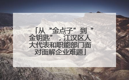 从“金点子”到“金钥匙”，江汉区人大代表和职能部门面对面解企业难题
