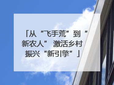 从“飞手荒”到“新农人” 激活乡村振兴“新引擎”