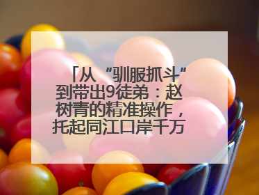 从“驯服抓斗”到带出9徒弟：赵树青的精准操作，托起同江口岸千万吨过货量