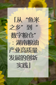从“鱼米之乡”到“数字粮仓”：湖南粮油产业高质量发展的创新实践