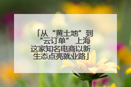 从“黄土地”到“云订单” 上海这家知名电商以新生态点亮就业路