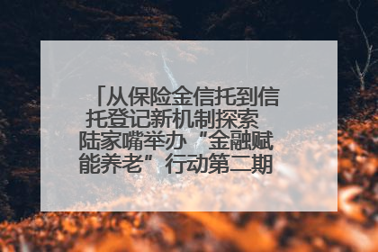 从保险金信托到信托登记新机制探索 陆家嘴举办“金融赋能养老”行动第二期行业交流会