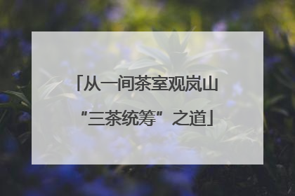 从一间茶室观岚山“三茶统筹”之道