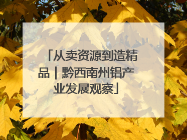 从卖资源到造精品｜黔西南州铝产业发展观察
