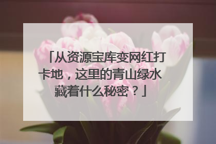 从资源宝库变网红打卡地，这里的青山绿水藏着什么秘密？