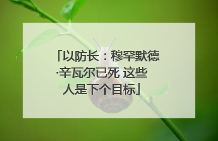 以防长：穆罕默德·辛瓦尔已死 这些人是下个目标