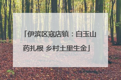 伊滨区寇店镇：白玉山药扎根 乡村土里生金