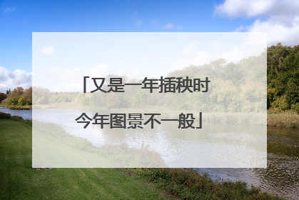 又是一年插秧时 今年图景不一般
