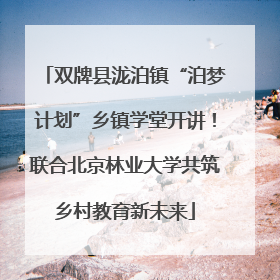 双牌县泷泊镇“泊梦计划”乡镇学堂开讲！联合北京林业大学共筑乡村教育新未来