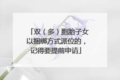 双（多）胞胎子女以捆绑方式派位的，记得要提前申请