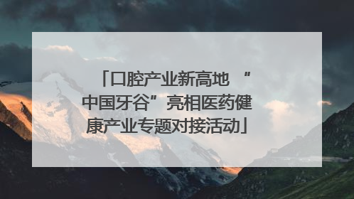 口腔产业新高地 “中国牙谷”亮相医药健康产业专题对接活动