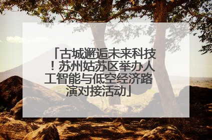古城邂逅未来科技！苏州姑苏区举办人工智能与低空经济路演对接活动