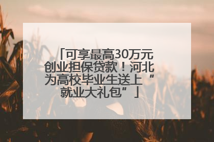 可享最高30万元创业担保贷款！河北为高校毕业生送上“就业大礼包”