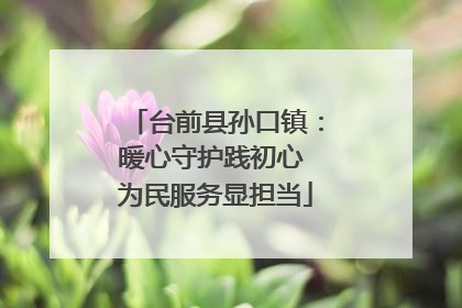 台前县孙口镇：暖心守护践初心 为民服务显担当