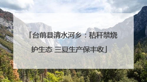 台前县清水河乡：秸秆禁烧护生态 三夏生产保丰收